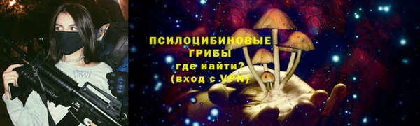 гашик Алзамай