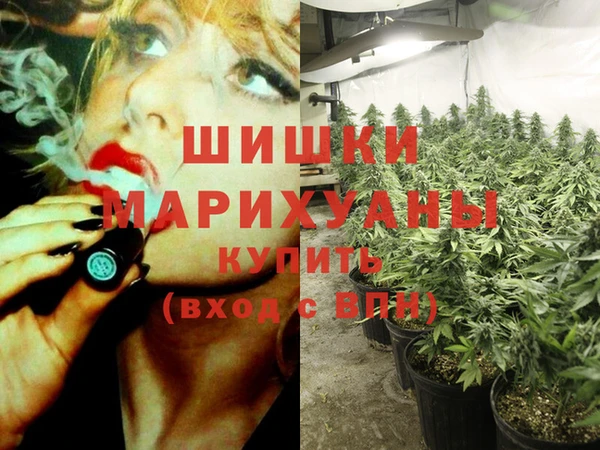 гашик Алзамай
