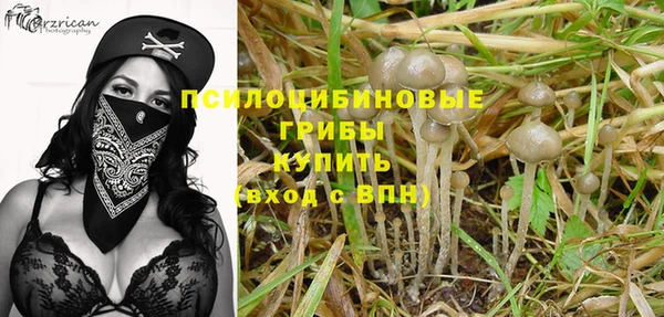 гашик Алзамай