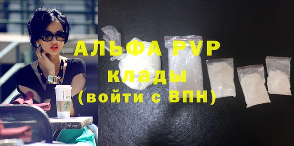 гидра Алексин