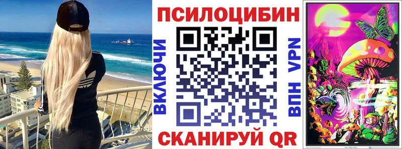 OMG маркетплейс  Грязи  Псилоцибиновые грибы MAGIC MUSHROOMS  как найти закладки 